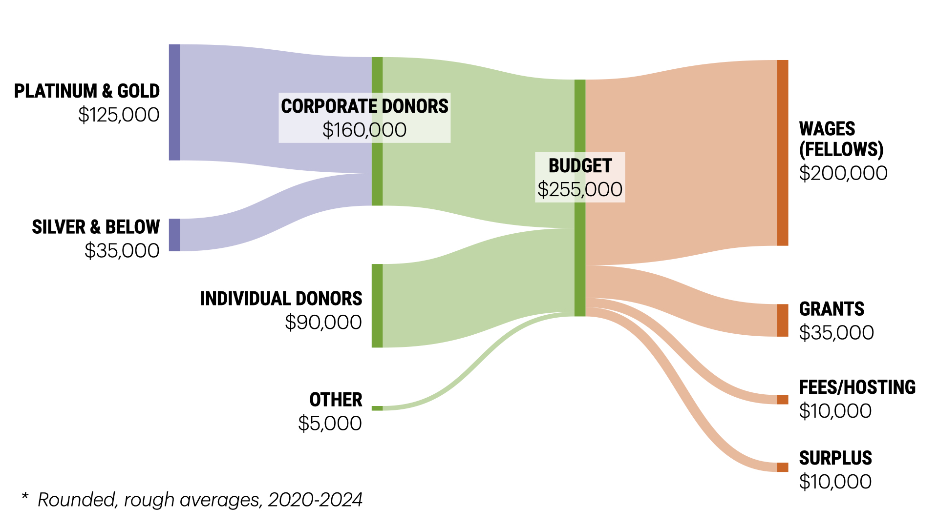 A Sankey diagram visualizing the DSF's cash flow. Income on the left totaling $255,000, which comes from: Platinum and Gold sponsors - $125,000; Silver and below - #35,000; individual donors - $90,0000; and $5,000 from other. Spending on the right: wages (fellows) - $200,000; grants - $35,000; fees $10,000; and surplus: $10,000